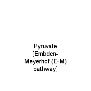 Pyruvate                                         [Embden-Meyerhof (E-M) pathway]